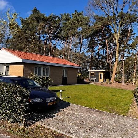 Fijne Plek Met Eigen Bos 2000M2 En Gratis Linnen En Handdoeken!! Denekamp Exteriér fotografie