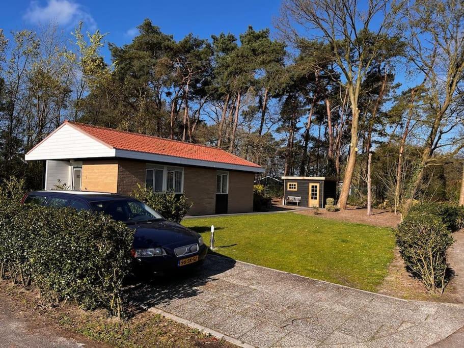 Fijne Plek Met Eigen Bos 2000M2 En Gratis Linnen En Handdoeken!! Denekamp Exteriér fotografie