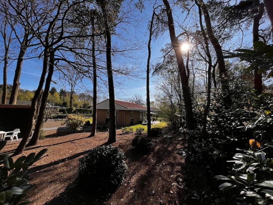 Fijne Plek Met Eigen Bos 2000M2 En Gratis Linnen En Handdoeken!! Denekamp Exteriér fotografie